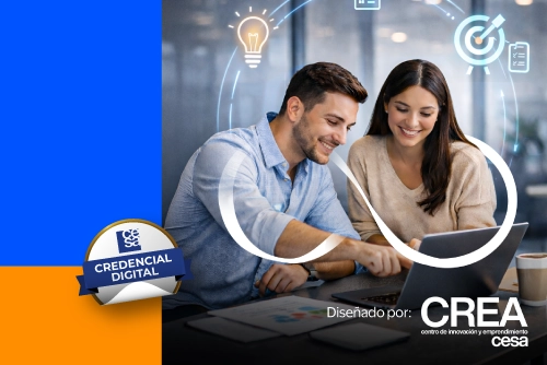 Innovación para la transformación organizacional